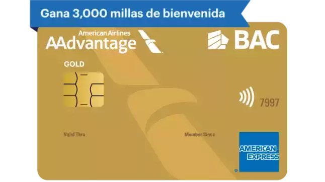 AAdvantage Gold American Express