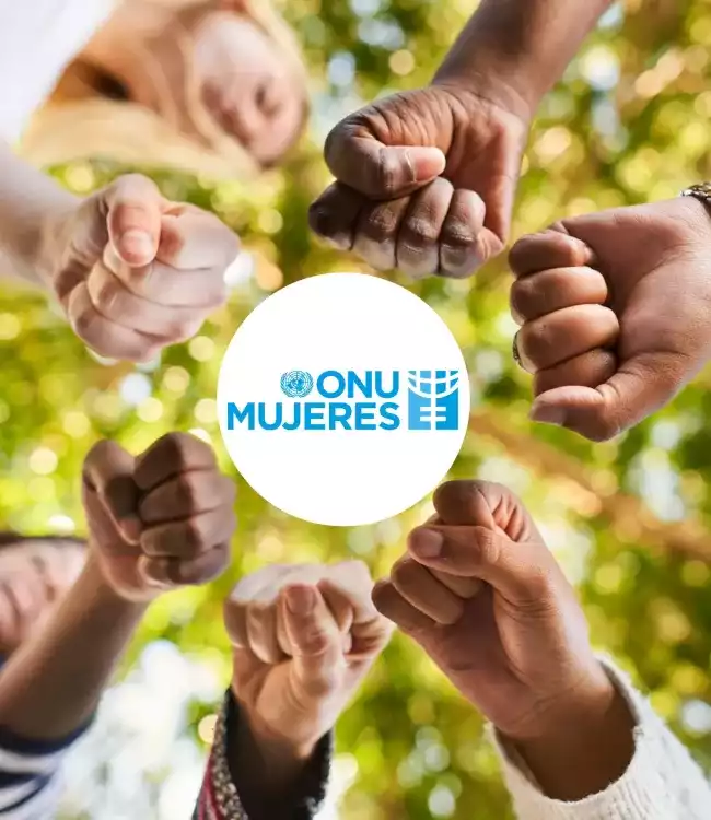 Imagen de puños de mujeres unidas con logotipo de ONU Mujeres